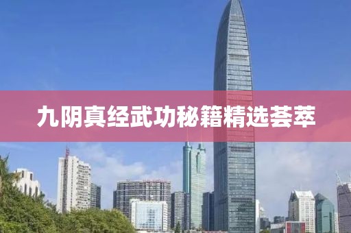 九阴真经武功秘籍精选荟萃