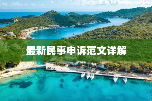 最新民事申诉范文详解