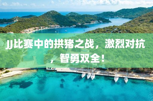 JJ比赛中的拱猪之战，激烈对抗，智勇双全！