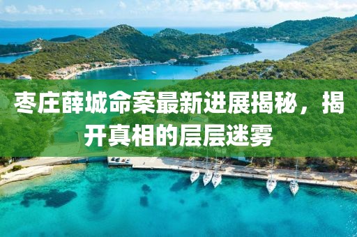 枣庄薛城命案最新进展揭秘，揭开真相的层层迷雾