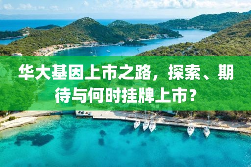 华大基因上市之路，探索、期待与何时挂牌上市？