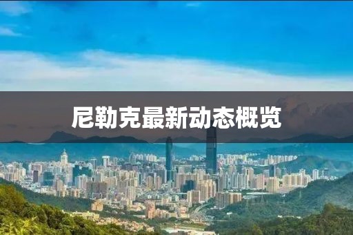 尼勒克最新动态概览