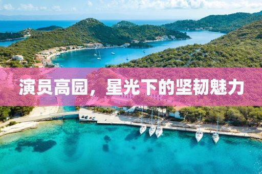 演员高园，星光下的坚韧魅力