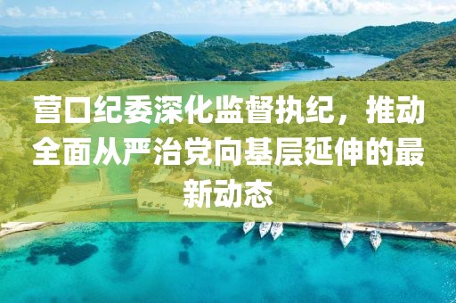 营口纪委深化监督执纪，推动全面从严治党向基层延伸的最新动态