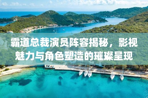 霸道总裁演员阵容揭秘，影视魅力与角色塑造的璀璨呈现