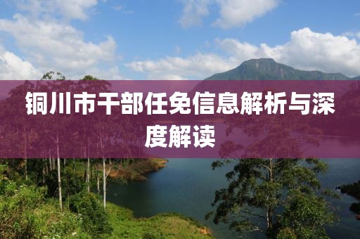 铜川市干部任免信息解析与深度解读