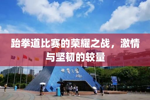 跆拳道比赛的荣耀之战，激情与坚韧的较量