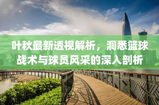 叶秋最新透视解析，洞悉篮球战术与球员风采的深入剖析