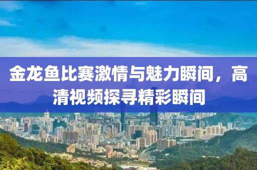 金龙鱼比赛激情与魅力瞬间，高清视频探寻精彩瞬间