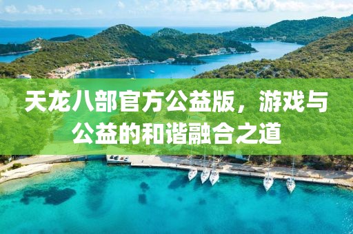 天龙八部官方公益版，游戏与公益的和谐融合之道