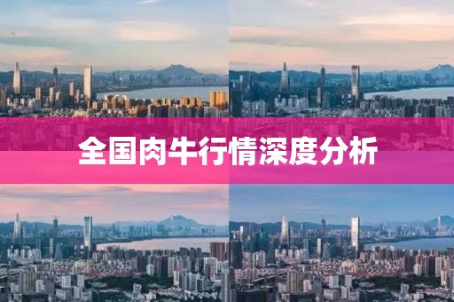 全国肉牛行情深度分析