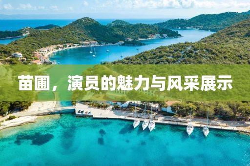 苗圃，演员的魅力与风采展示