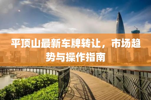 平顶山最新车牌转让，市场趋势与操作指南