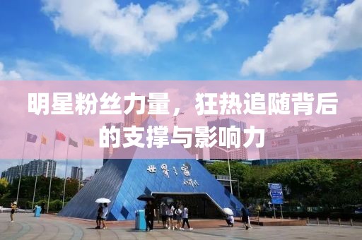 明星粉丝力量，狂热追随背后的支撑与影响力