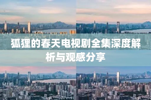 狐狸的春天电视剧全集深度解析与观感分享