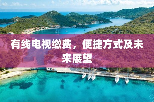 有线电视缴费，便捷方式及未来展望