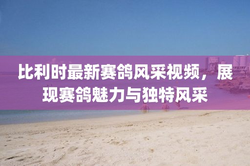 比利时最新赛鸽风采视频，展现赛鸽魅力与独特风采