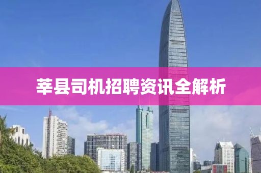 莘县司机招聘资讯全解析