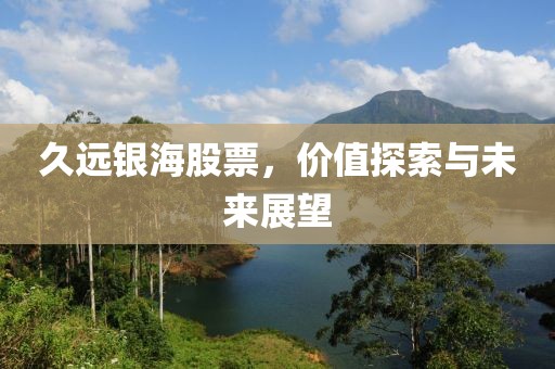 久远银海股票，价值探索与未来展望