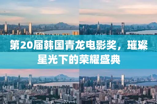 第20届韩国青龙电影奖，璀璨星光下的荣耀盛典