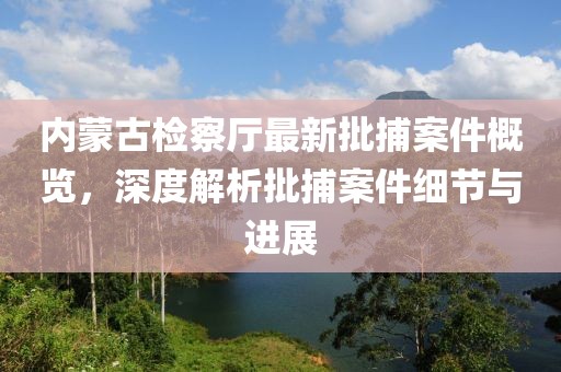 内蒙古检察厅最新批捕案件概览，深度解析批捕案件细节与进展