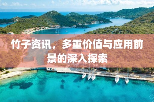 竹子资讯，多重价值与应用前景的深入探索