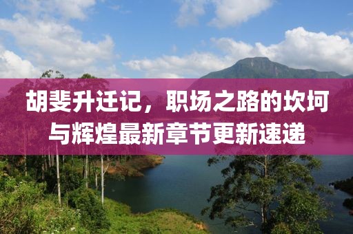 胡斐升迁记，职场之路的坎坷与辉煌最新章节更新速递