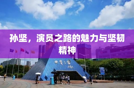 孙坚，演员之路的魅力与坚韧精神