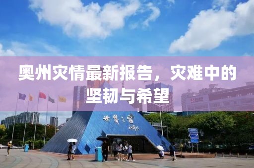 奥州灾情最新报告，灾难中的坚韧与希望