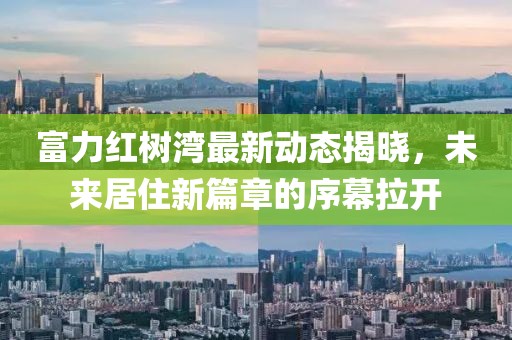 白首有我共你 第13页