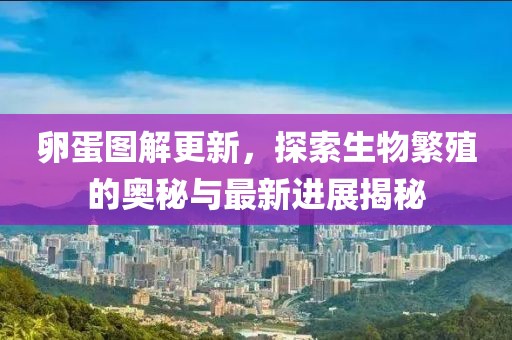 卵蛋图解更新，探索生物繁殖的奥秘与最新进展揭秘
