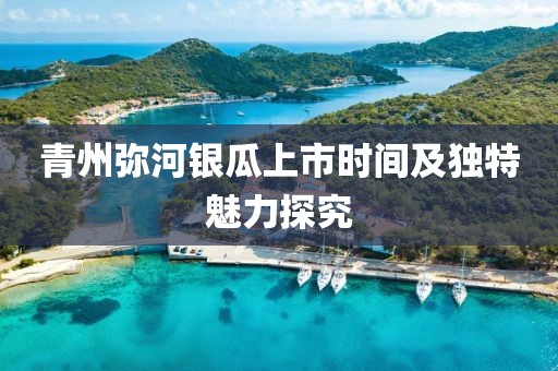 青州弥河银瓜上市时间及独特魅力探究