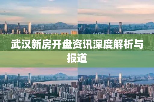 武汉新房开盘资讯深度解析与报道