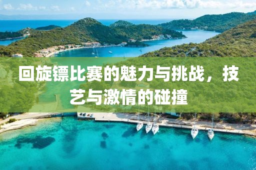 回旋镖比赛的魅力与挑战，技艺与激情的碰撞