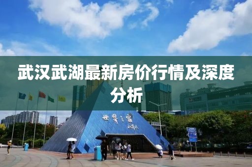 武汉武湖最新房价行情及深度分析
