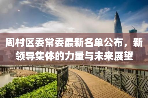 周村区委常委最新名单公布，新领导集体的力量与未来展望
