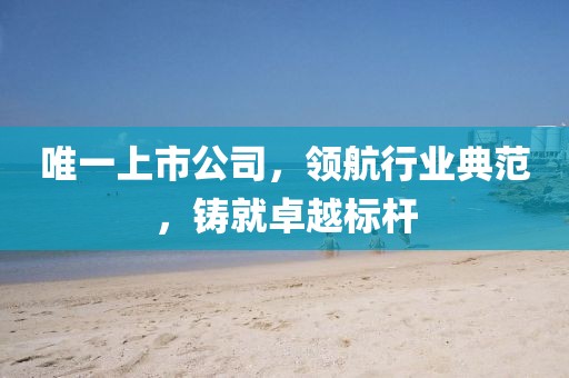 唯一上市公司，领航行业典范，铸就卓越标杆