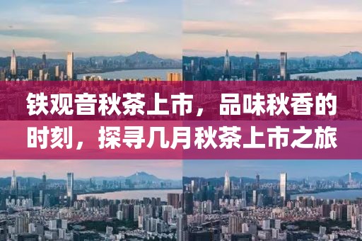 金泫雅 第11页