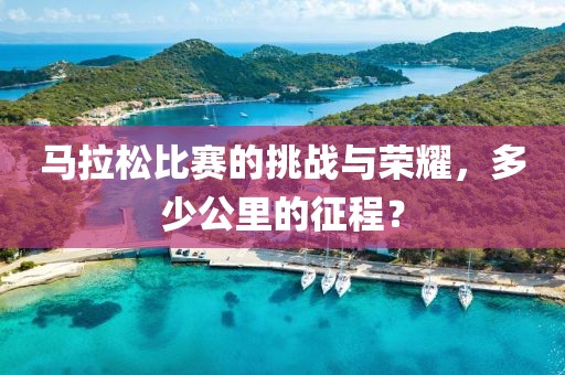 马拉松比赛的挑战与荣耀，多少公里的征程？