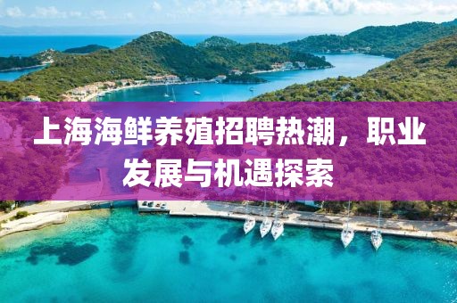 上海海鲜养殖招聘热潮，职业发展与机遇探索