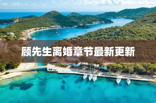 顾先生离婚章节最新更新