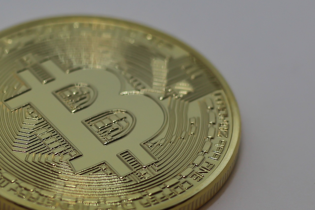 莴笋最新价格动态分析与趋势预测