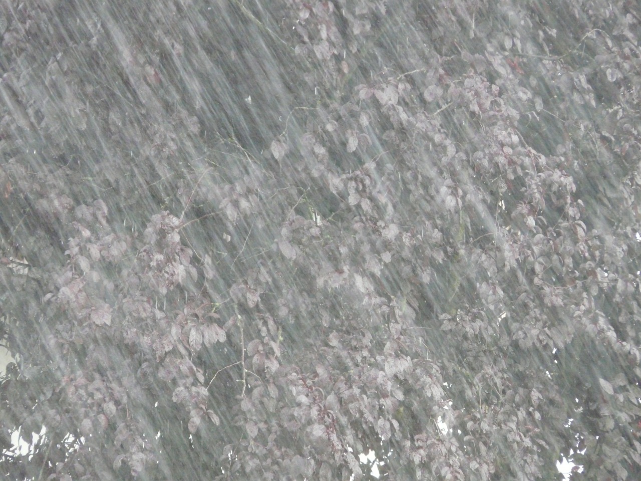 河南暴雨持续影响及应对措施，最新动态今日发布