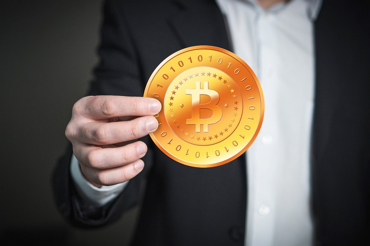 莲子价格行情深度解析与趋势分析