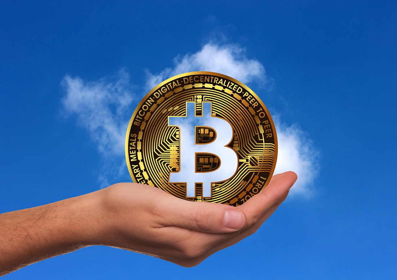 陕西大蒜价格最新行情分析与趋势预测