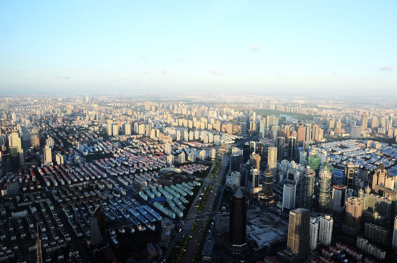 木薯行情分析，市场趋势与未来发展前景探讨