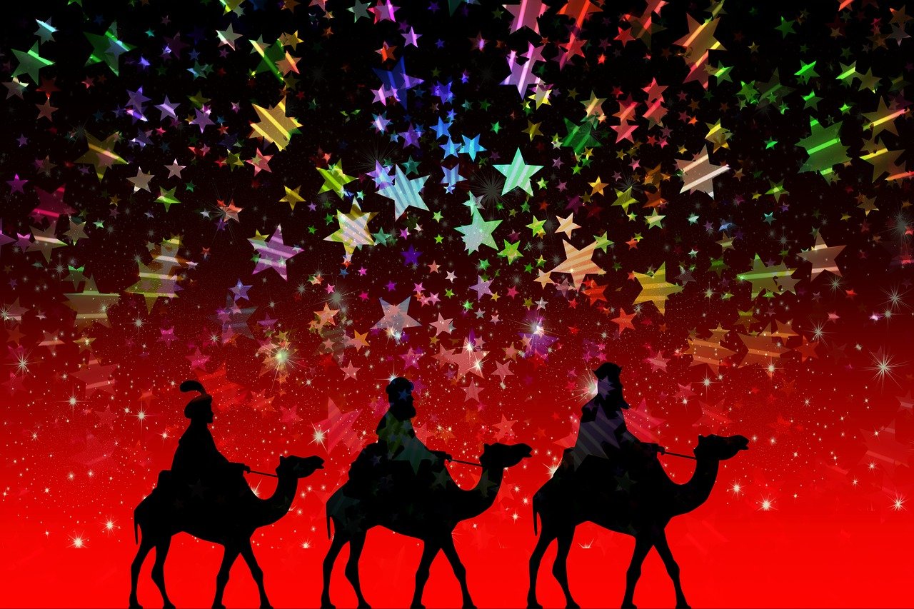 王的男明星，璀璨星光下的传奇人生之路