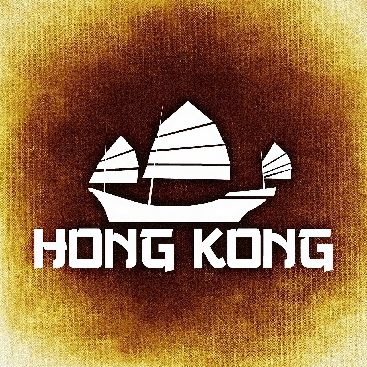 陌陌新版本发布，探索社交新纪元