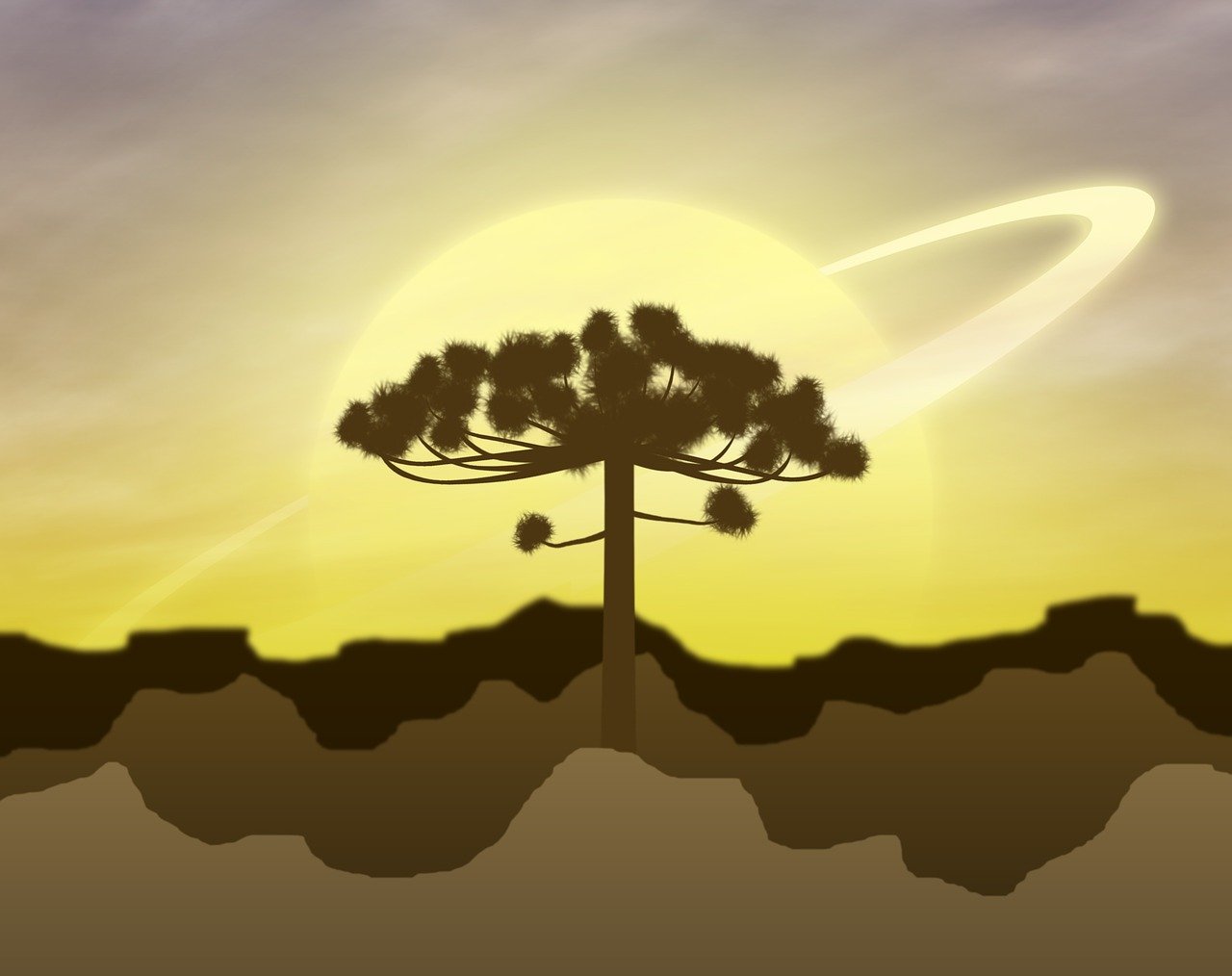 吞噬星空动漫免费在线观看，无限魅力的星空冒险之旅
