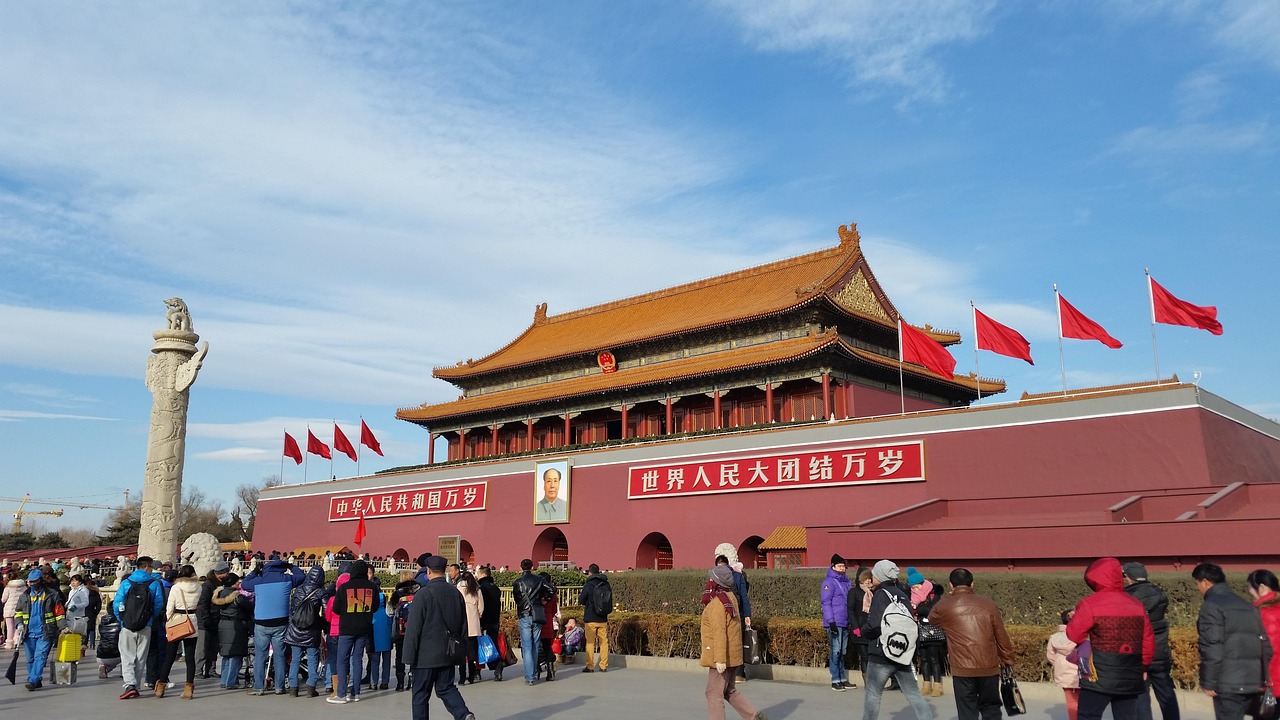 南京女排热血之战，城市沸腾的排球盛宴！